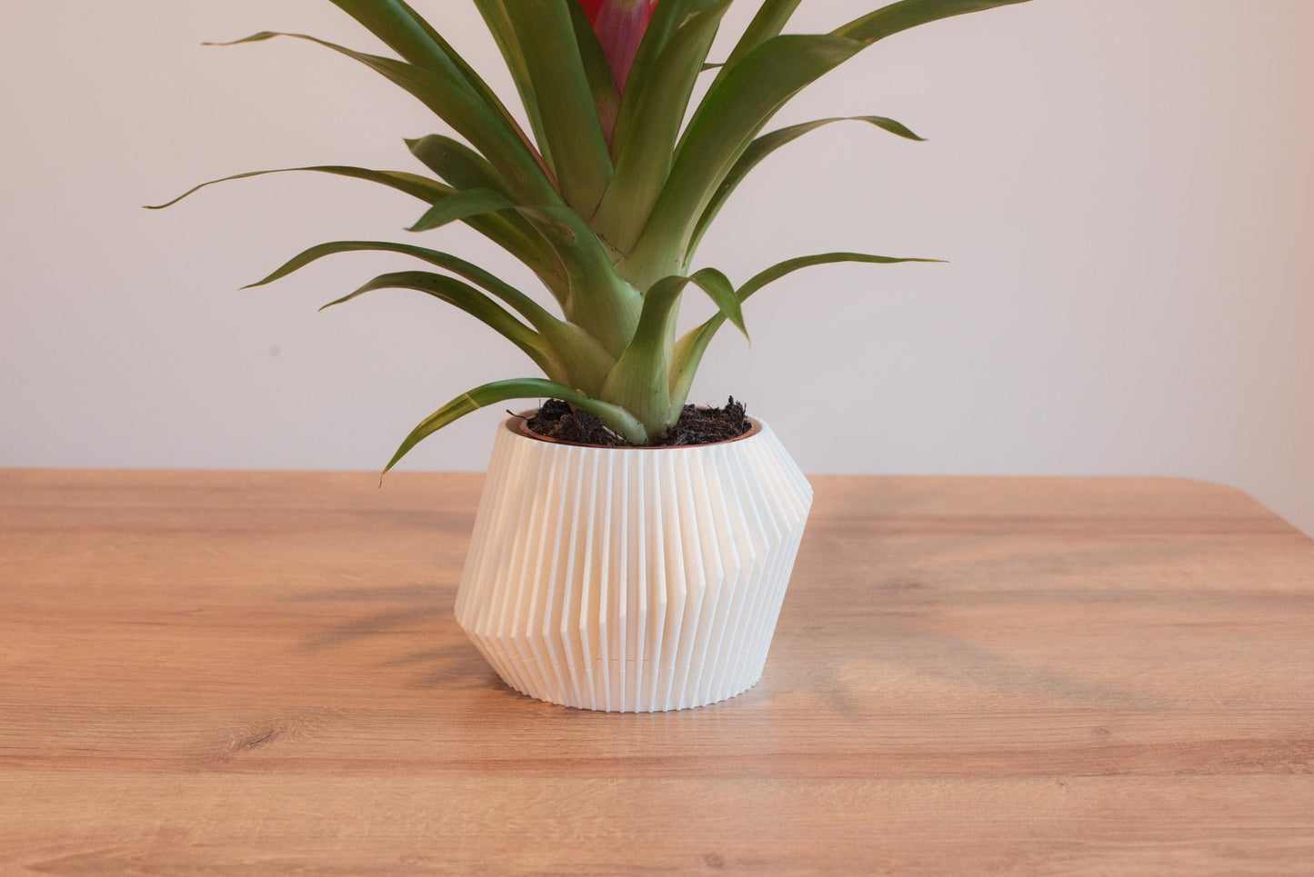 Modern Asymmetric Indoor Planter with Hidden Tray | Stylish Plant Pot | Unique Gift for Plant Lovers | Indoor Succulent Pot